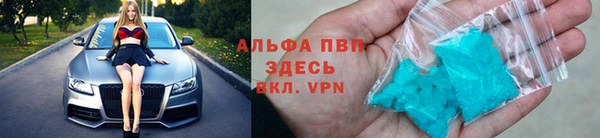 сатива Баксан